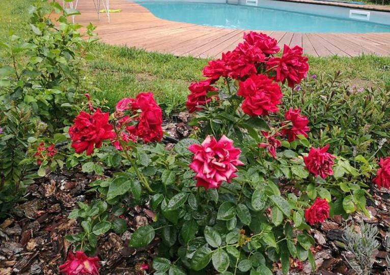 Casa Camporino Holiday home Poppi
