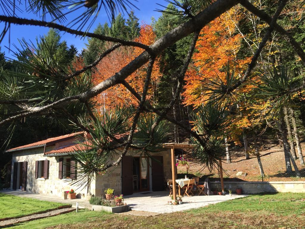 Holiday home Casa Camporino Poppi