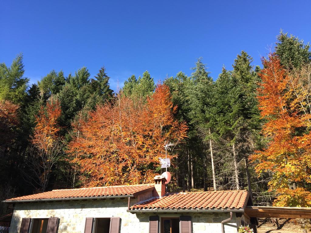 Casa Camporino *